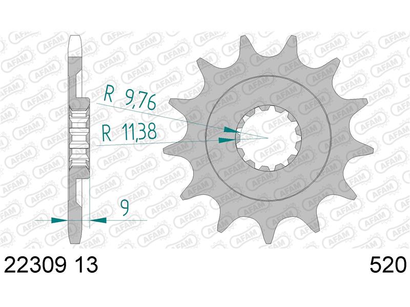 Sprednji zobnik AFAM 22309-13 (520)