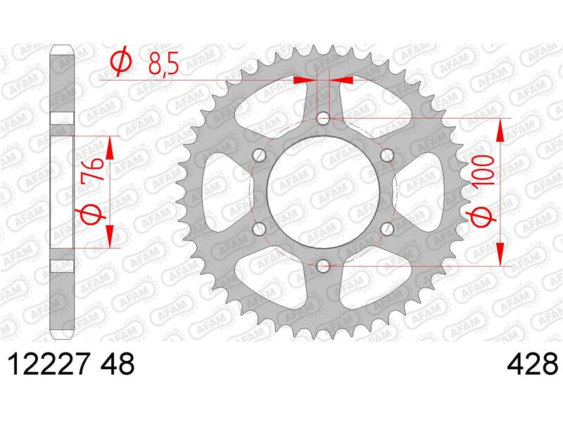 Zadnji zobnik AFAM 12227-48 (428)