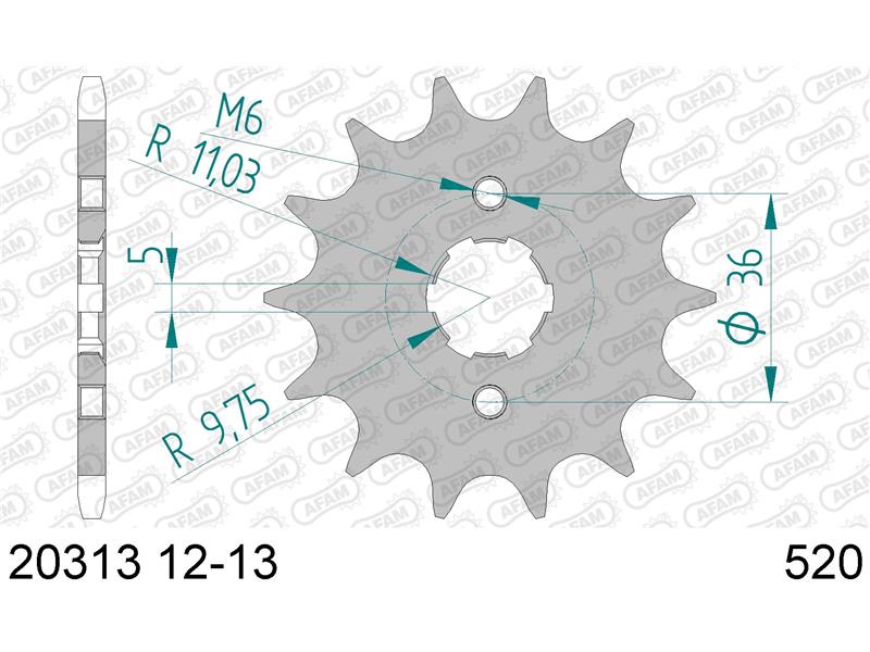 Sprednji zobnik AFAM 20313-13 (520)