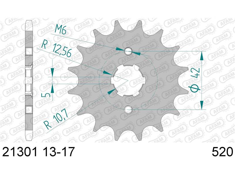 Sprednji zobnik AFAM 21301-15 (520)