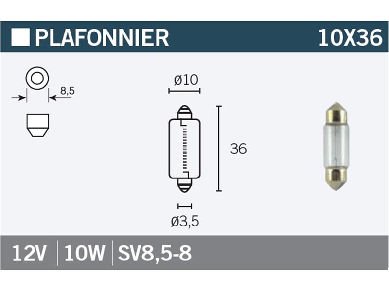 Žarnica Vicma 10X36 SV8,5-8 12V 10W