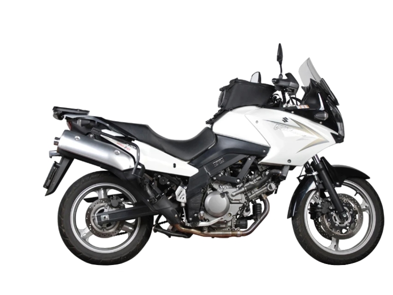 delkevic v strom 650